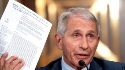 ენტონი ფაუჩი