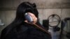 Iran's early recordings revive forgotten sound heritage