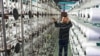 China Sees One of Worst Years of Growth Since 1990