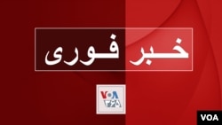 خبر فوری