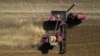 China Makes Largest US Soy Purchases in Months: Traders