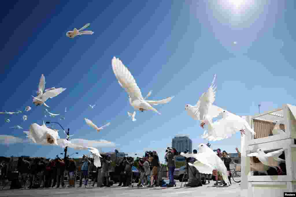 Doves are released for each victim of the Route 91 Harvest music festival mass shooting at City Hall plaza in Las Vegas, Nevada, Oct. 7, 2017.