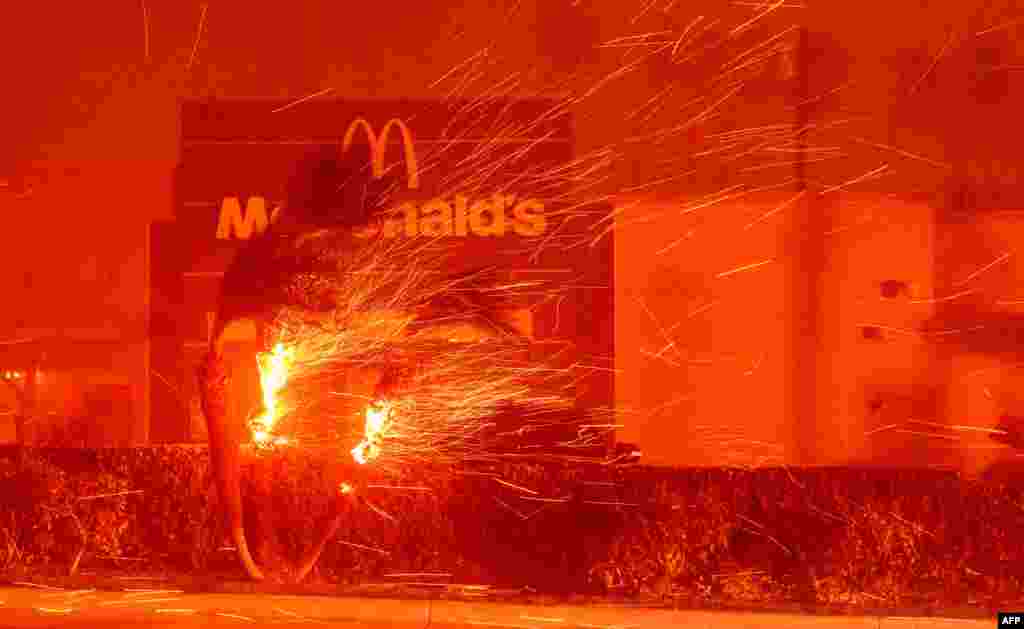 Um restaurante McDonald’s em chamas durante o incêndio em Eaton, em Pasadena, Califórnia, a 7 de janeiro de 2025. Um feroz incêndio florestal num subúrbio de Los Angeles devorou edifícios e provocou evacuações em pânico, enquanto ventos com força de furacão devastavam a região. Mais de 80 hectares estavam em chamas em Pacific Palisades, um local luxuoso com casas multimilionárias nas montanhas de Santa Monica. Do outro lado da cidade, no extremo norte de Los Angeles, outro incêndio deflagrou em Eaton Canyon, perto de Pasadena, consumindo rapidamente 200 acres (81 hectares) ao final da noite, de acordo com as autoridades da Floresta Nacional de Angeles.