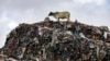 As fast fashion's waste pollutes environment, Ghana designers find a solution