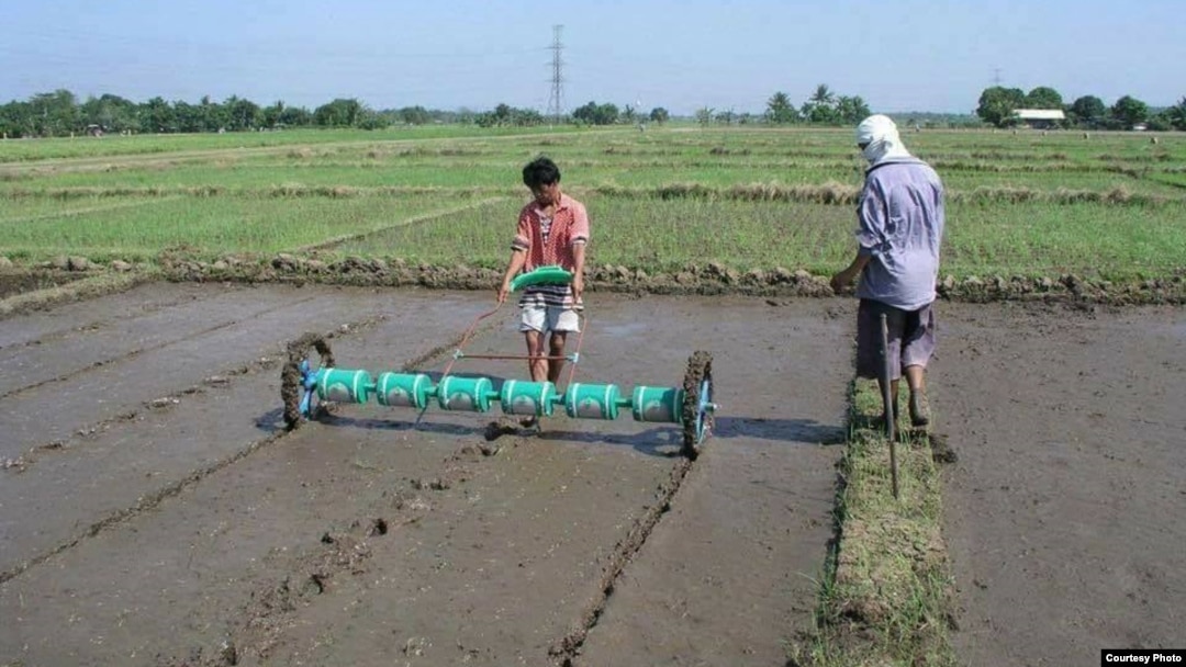 စုပေါင်းလယ်ယာ လုပ်နိုင်မလား Myanmar Farm (Photo credit to Pioneer Agrobiz)