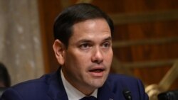 美國議員提議對維吾爾強迫勞動支持者實行嚴厲制裁
