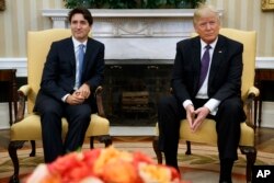 President Donald Trump meets with Canadian Prime Minister Justin Trudeau in the Oval Office of the White House in Washington, Feb. 13, 2017.