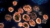 16x9 Image