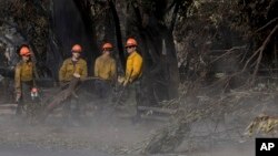 Empat petugas pemadam kebakaran membersihkan pepohonan dari jalan di zona Kebakaran Palisades di lingkungan Pacific Palisades, Los Angeles, California.