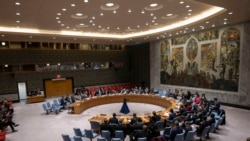 Analistas dão nota positiva à prestação de Mocambique no Conselho de Segurança da ONU