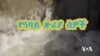 የዓባይ ዙሪያ ሰዎች - ክፍል አንድ