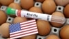 FILE PHOTO: Illustration shows test tube labelled "Bird Flu", eggs and U.S. flag