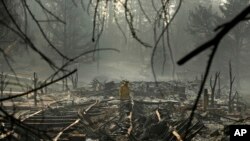 Vatrogasac pretražuje ruševine kamp-naselja uništenog u požaru u gradu Peradajs u Kaliforniji, 16. novembra 2018.
