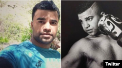 محمد جواد وفایی‌ثانی