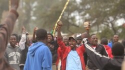 Report on Zimbabwe Stay Away Filed By Patricia Mudadigwa