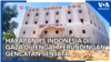 Harapan RS Indonesia di Gaza di Tengah Perundingan Gencatan Senjata