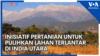 Inisiatif Pertanian untuk Pulihkan Lahan Terlantar di India Utara