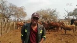 Abatsha Bakhuluma Ngempilo KaDr.Patson Dzamara