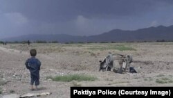 عکس: آرشیف