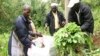 Commission: West Africa Should Change Drug Policies