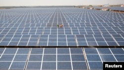 FILE - Workers install photovoltaic solar panels at the Gujarat solar park under construction in Charanka village in Patan district of the western Indian state of Gujarat, India.