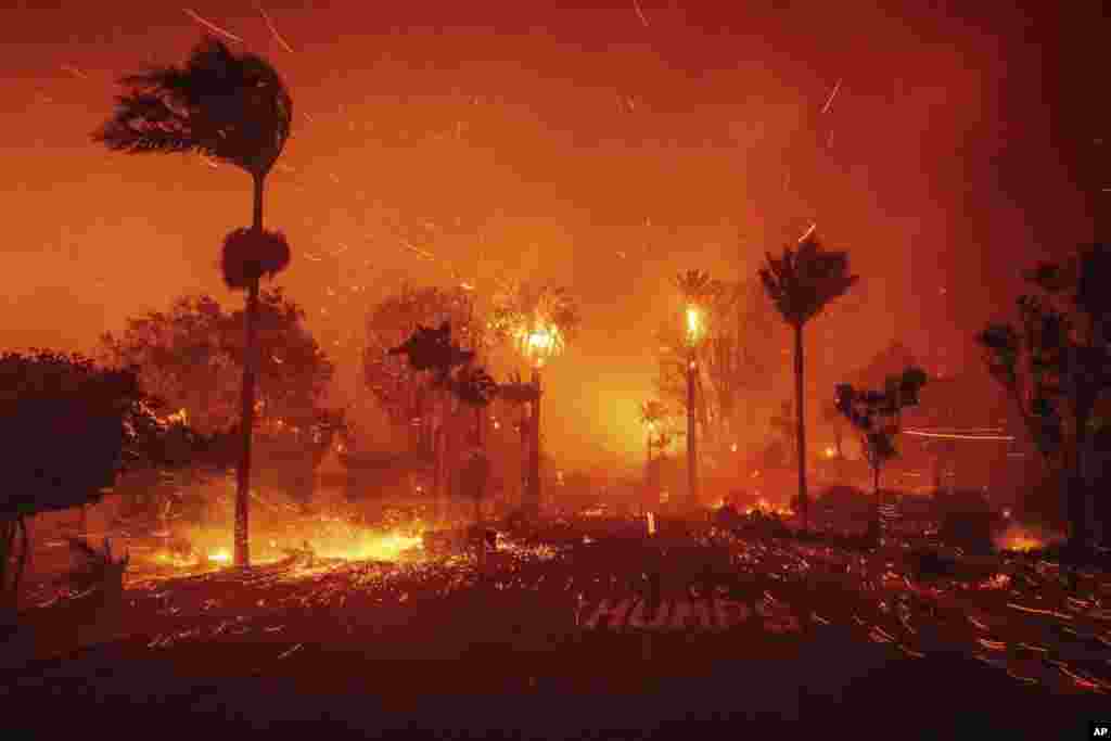 O incêndio de Palisades devasta-se no meio de ventos fortes no bairro de Pacific Palisades, em Los Angeles, a 7 de janeiro de 2025.