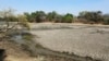 The carcass of a buffalo lies on the edges of a dry pool that used to be a perennial water supply in Mana Pools National Park, Zimbabwe, Oct. 27, 2019. 