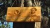 ከ62 ዓመታት በፊት በአፍሪካ አንድነት ድርጅት መስራች መሪዎች የተተከሉ ዛፎች
