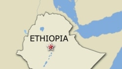 ሆሮ ጉዱሩ ወለጋ በድሮን ጥቃት ሲቪሎች እንደተገደሉ ኦነግ ተናገረ