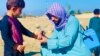 پولیو هنوز هم از کودکان افغان قربانی می‌گیرد