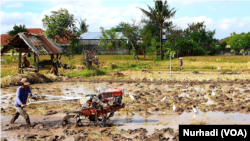 Petani membajak sawah di Sleman, Yogyakarta. Di kejauhan ekspansi bangunan mengancam. (Foto: VOA/Nurhadi)