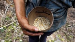 En Honduras preocupa una posible reducción de la ayuda que otorga Estados Unidos