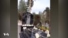 16x9 Image