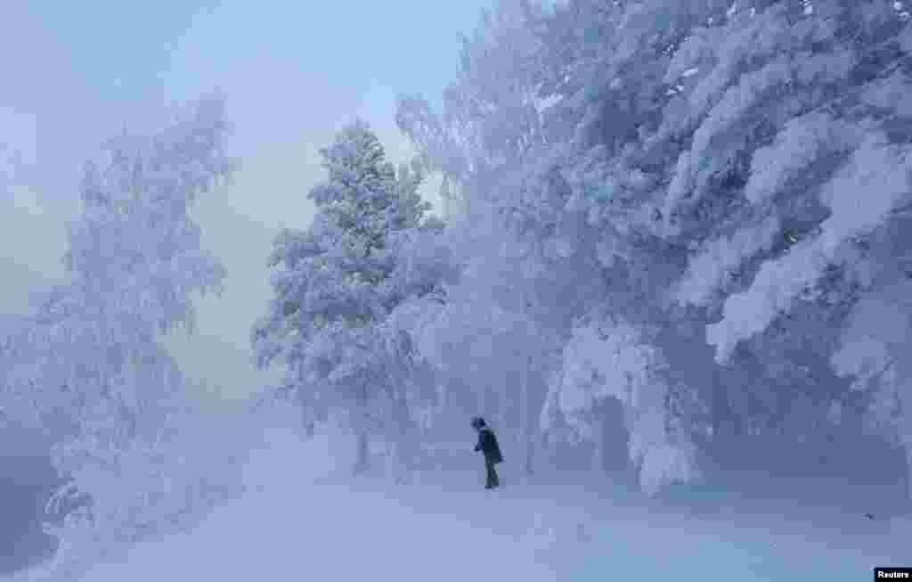 A woman walks through the snow in a forest on the banks of the Yenisei River, with the air temperature at about minus 32° C (-25.6° F), near the Siberian city of Krasnoyarsk, Russia.
