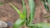 16x9 Image