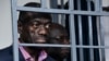 FILE - Ugandan four-time presidential aspirant Kizza Besigye stands in steel dock at Uganda Military General Court Martial in Kampala, Nov. 20, 2024. Besigye disappeared in neighboring Kenya and resurfaced later in a military court in Kampala.