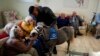 Greece's only miniature therapy horses bring joy to many, but the charity is struggling 