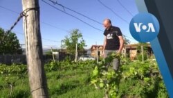 ღვინის ტურიზმის ბედი პოსტპანდემიურ საქართველოში