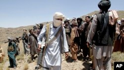 آرشیف: شماری از جنگجویان گروه طالبان در ولسوالی شیندند ولایت هرات