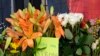 University of Virginia Shooting (file)