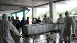 A-H1N1 တုပ်ကွေးကြောင့် သေဆုံးသူ ၅ ဦးရှိပြီ
