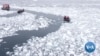 Antarctic Sea Ice Plunges from Record High to Record Lows
