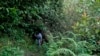 Small but mighty efforts are brewing to bring back native forests in India 