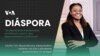 Diáspora: “As experiências internacionais contribuíram para o meu desenvolvimento profissional” - Cecília Tivir
