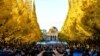 People take pictures of ginkgo trees in fall colors at the Meiji Shrine Outer Garden in Tokyo, Japan.