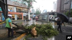 A fallen tree caused by Typhoon Lingling lies across a walkway in Seoul, South Korea, Sept. 7, 2019.