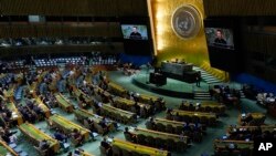 Assembleia Geral das Nações Unidas