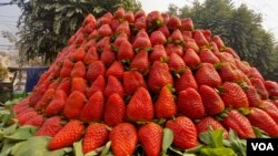 عکس آرشیف