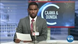 Caawa iyo Dunida
