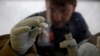 WHO Fights to Contain Ebola Outbreak in W. Africa